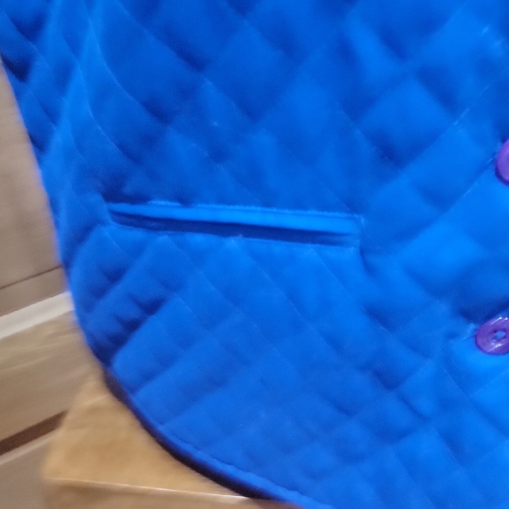 Electric Blue Quilted Vest View 4